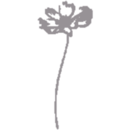 WHEEL SISTERS Logo