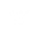 Wildkinggear Logo