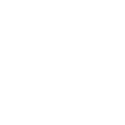 Wildspark Logo