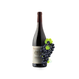 Wineot Logo
