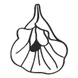 Wmns Logo