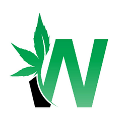Wundermittel Logo