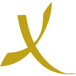 Xentair International Ltd Logo