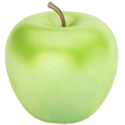 Solbrig Björn u. Fröchtenicht Andreas Logo