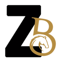 Zaldionline Logo