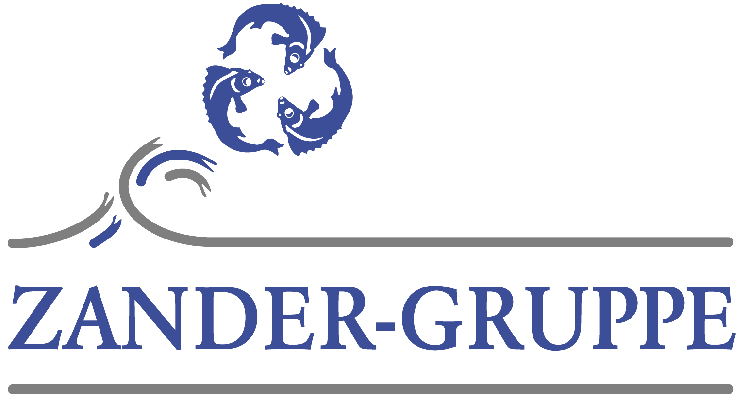 J. W. Zander GmbH & Co. KG Fachgroßhandel Haustechnik Logo