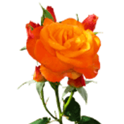 Zauberblume Theiler B. Logo