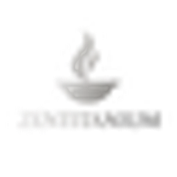 Zentitanium Logo