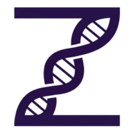 Denis Zidin Logo